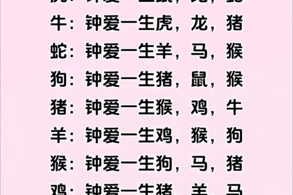 生肖鼠与十二生肖配对情况