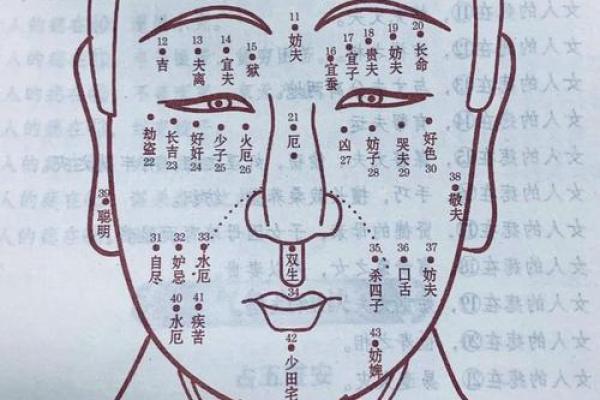 眼皮看面相算命