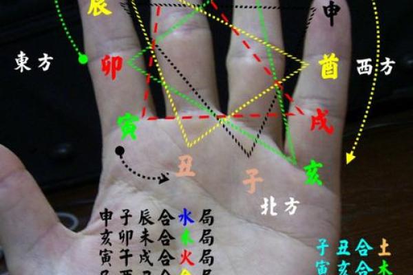 一掌经算命书