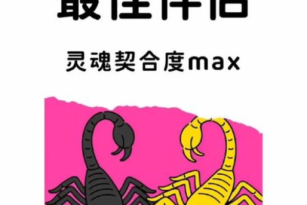 天蝎女和什么座最配对 天蝎男和什么座最配对