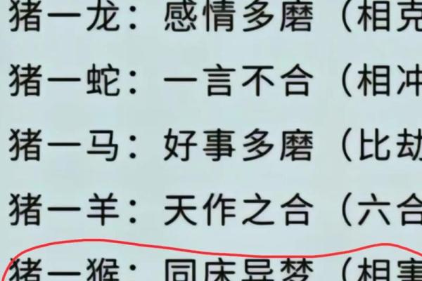 生肖配对：属猴的和什么属相最配