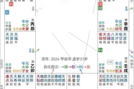 紫微斗数天府在疾厄宫