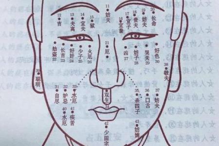 眼皮看面相算命