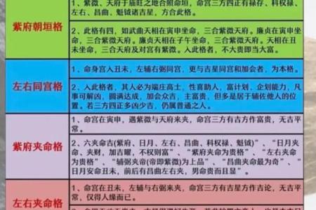 紫薇斗数排第几