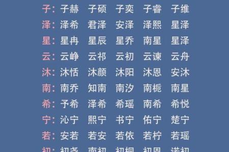 2019年6月28号丑时出生的男孩应该起什么样的名字姓名