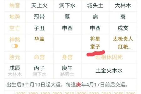 童子八字
