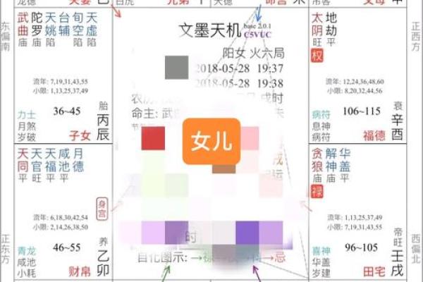 易遭连累而破财的紫薇命造