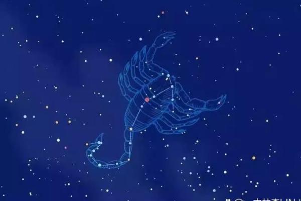 最适合同居的星座女 最适合同居的星座女都有谁