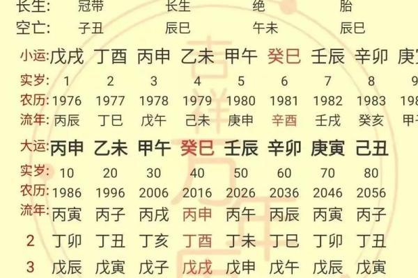 日柱辛卯的八字案例