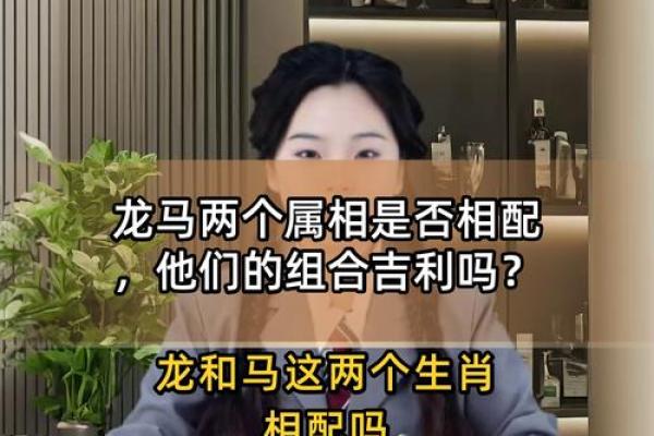 龙生肖配对姻缘 龙生肖配对排名？