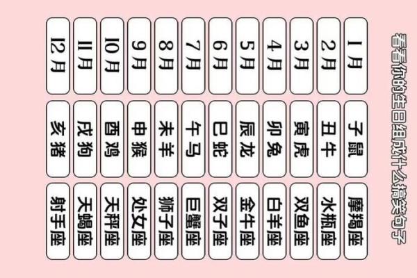 全部生日星座查询-查找你的星座信息