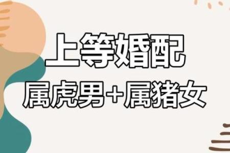 属猪男和什么属相配吗，属猪男和什么属相配对？