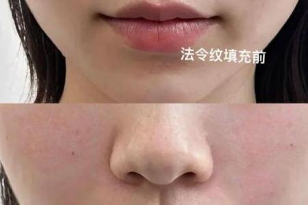 八字纹填充