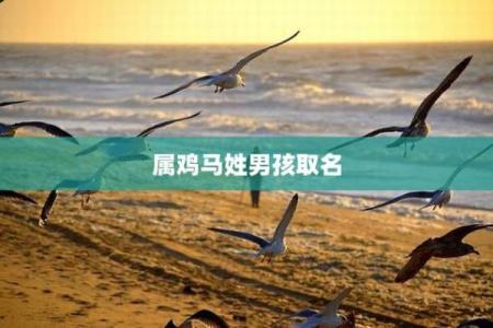 晚上11点出生的属鸡男孩宜用什么字取名字合适姓名