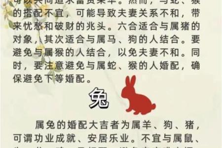 龙生肖配对姻缘 龙生肖配对排名？