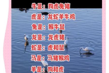 63岁属什么生肖配对 63岁属什么生肖和谁配