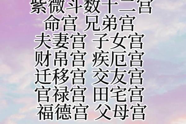 紫薇斗数财帛宫天同平