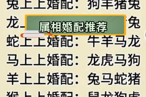 婚姻属相配对大全很准 婚姻属相配对大全很准十二生肖男女属相配对