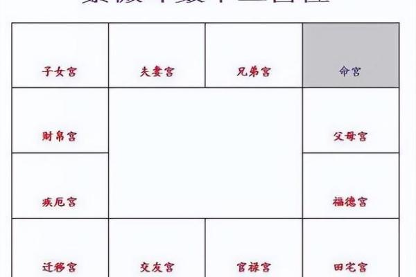 紫薇斗数反格