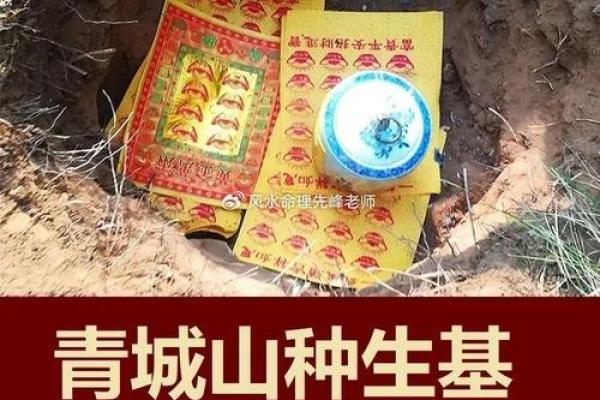 种生基后算命，发现命运大改变