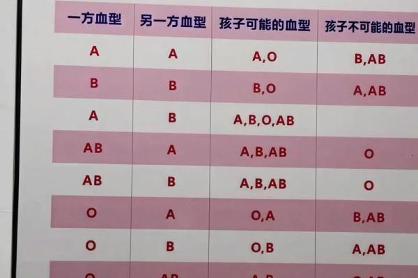智商高的血型有哪些呢