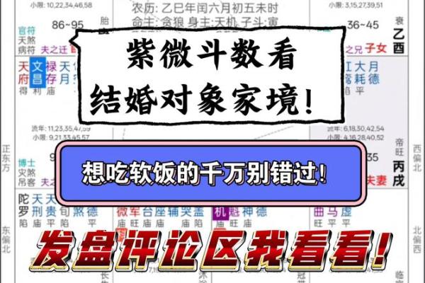 紫薇斗数看嫁入豪门