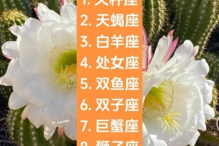 哪个星座男为天秤女痴迷自己