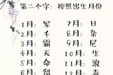 公司八字测名