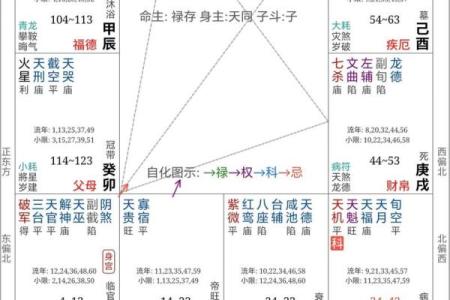 紫薇斗数中禄忌权科什么意思