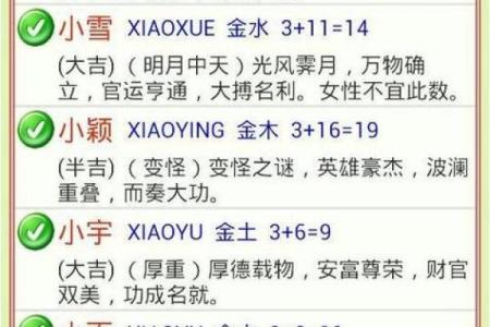 免费生辰八字起名软件
