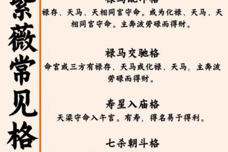 紫薇斗数冲破天罗地网