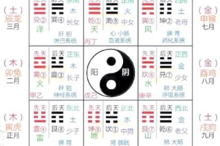2015年有利于健康的风水布局