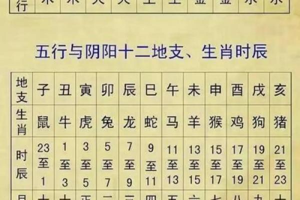 十二地支阴阳五行及方位