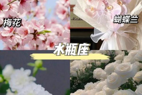 十二星座什么花适合自己