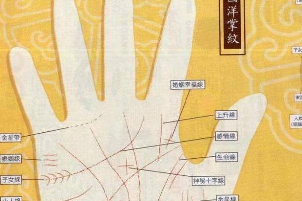 手相算命总论 手相算命大揭秘