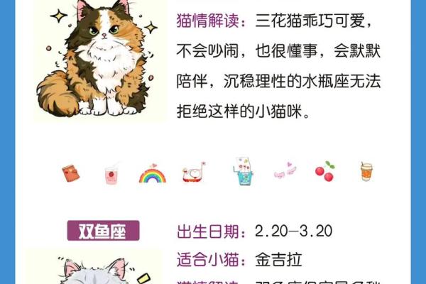 十二星座猫品种大全，让你一秒钟爱上这些可爱的猫！