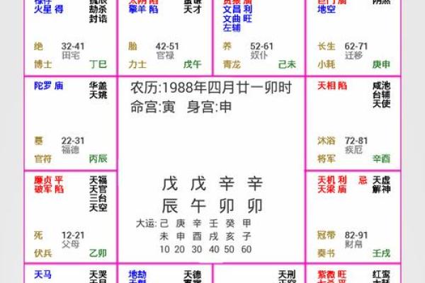 紫薇斗数命盘排盘软件