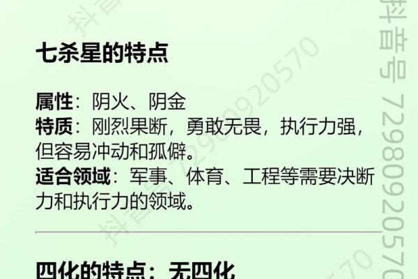 紫薇斗数 七杀是什么