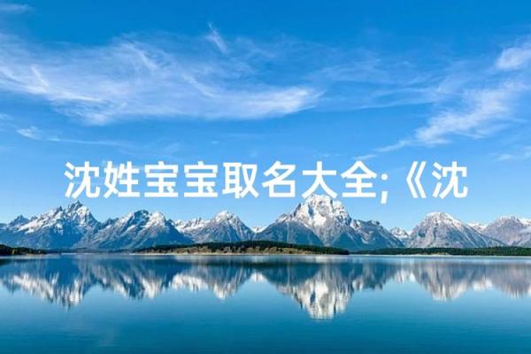沈姓男孩名字大全-沈姓男孩起名字大全-沈姓名字大全姓名