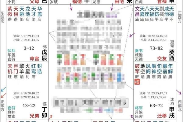 雪天紫薇斗数排盘软件
