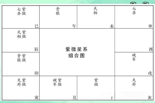 雪天紫薇斗数排盘软件