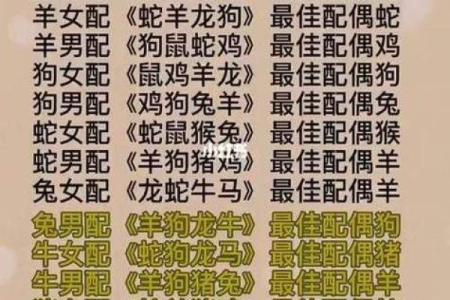 属龙和属狗适合做夫妻吗 配对有什么缺点
