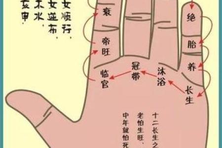 手相算命总论 手相算命大揭秘