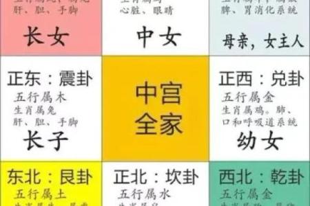 紫微斗数之八卦万物类象：乾卦详解