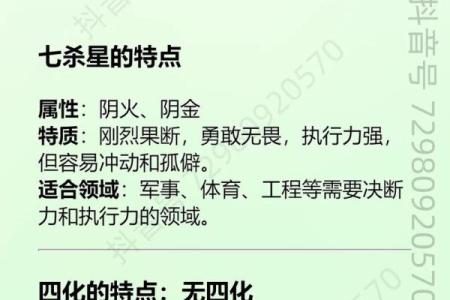 紫薇斗数 七杀是什么