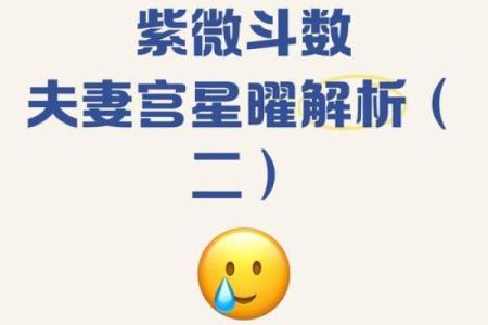 紫薇斗数看配偶姓氏