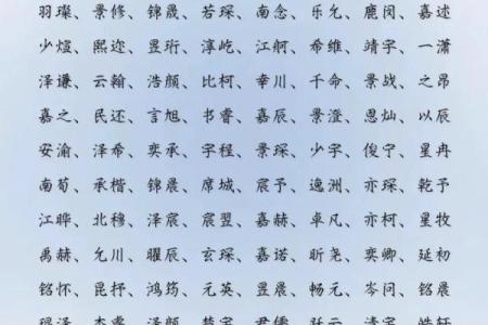 2019年5月23号卯时出生的男孩如何起名姓名