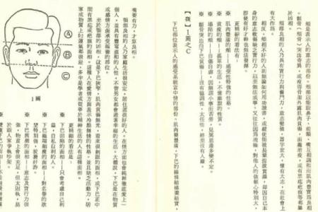 血型的复杂宿命论