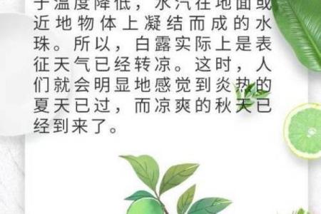 白露节气的含义是什么 白露时节有什么民俗活动