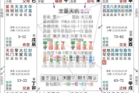 雪天紫薇斗数排盘软件